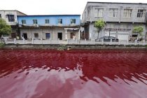 Misteriozna crvena reka u Kini