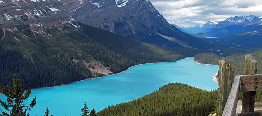 Zagađenje pretvara jezera u Kanadi u želatin