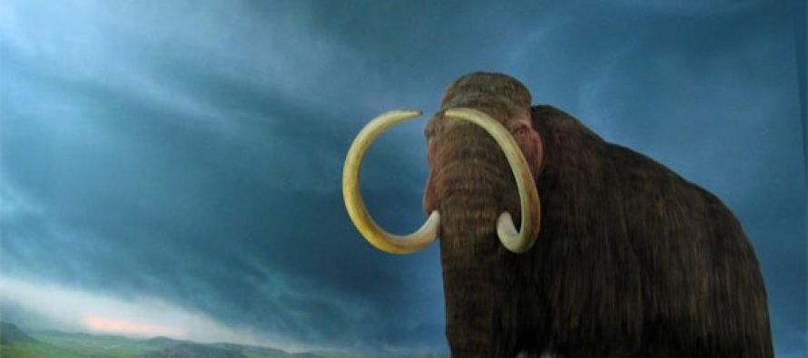 Kako su mamuti izumrli?