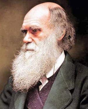 Čarls Darvin
