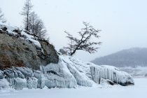 Ruski naučnici planiraju bizaran eksperiment: Sibir kao park iz ledenog doba!