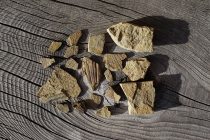 Otkriven fosil najstarijeg sisara na planeti?