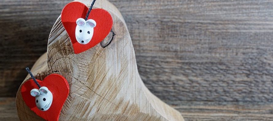 10 sjajnih “uradi sam” ideja za poklon za Dan zaljubljenih