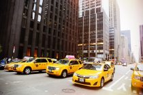 Šta znamo o žutim taksi vozilima?