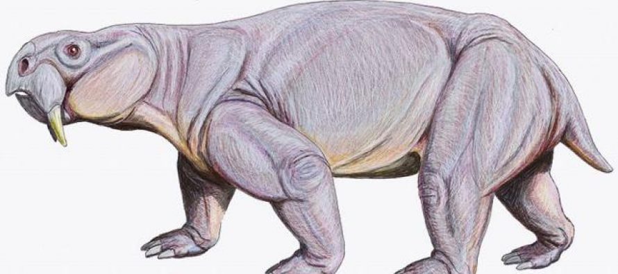 Otkriven džinovski rođak sisara koji je živeo sa dinosaurusima