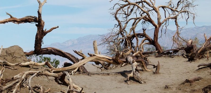 Čudo prirode: Pojavilo se jezero u Dolini smrti!
