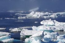 Toplotni talas u Sibiru i topljenje leda na Grenlandu zabrinjavaju naučnike