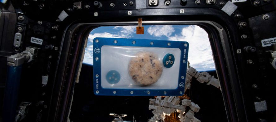 Na Zemlju stigli prvi svemirski kolačići!