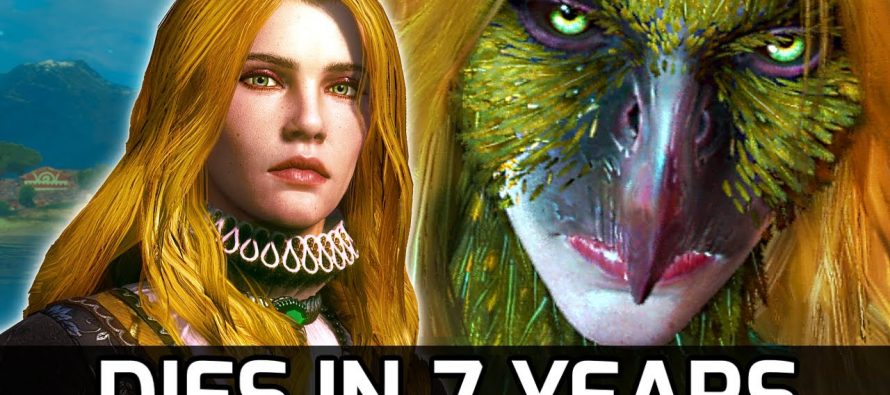Igrač Witchera 3 pronašao poslednju tajnu, spektakularno završi igru